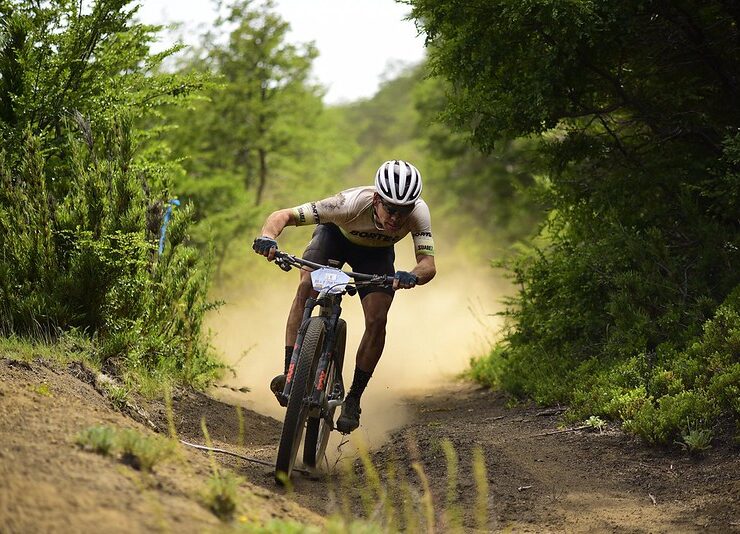 55030819346_2ee9c8a506_c