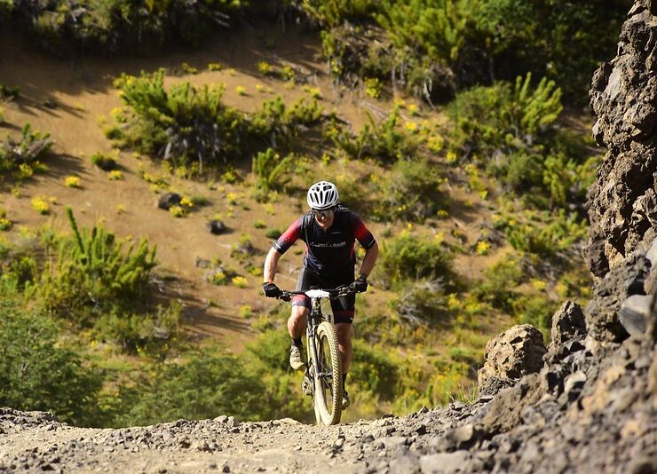 55031156190_36f42f800d_c