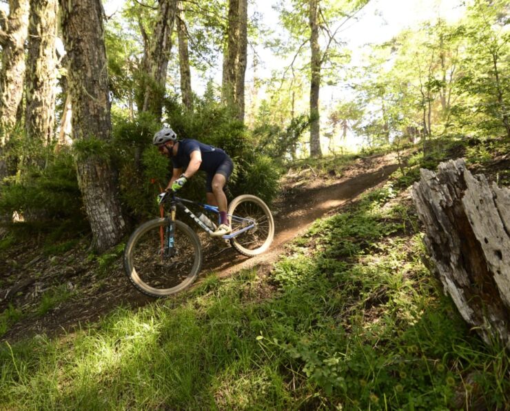 WhatsApp Image 2026-01-07 at 3.43.01 PM (1)