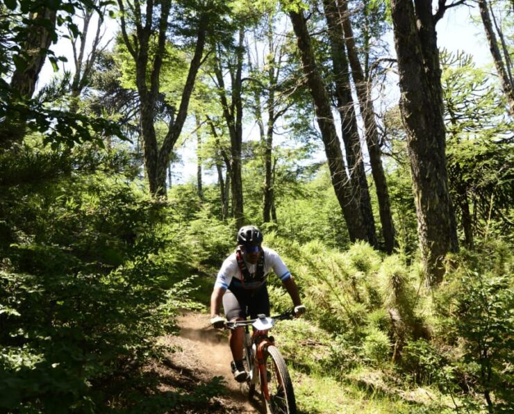 WhatsApp Image 2026-01-07 at 3.43.02 PM