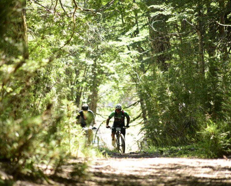 WhatsApp Image 2026-01-07 at 3.43.03 PM