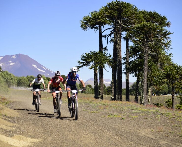 WhatsApp Image 2026-01-07 at 3.43.04 PM