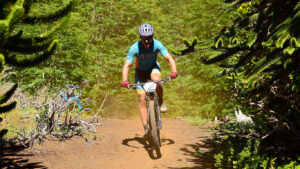 GOLD  EXPERIENCE PACK